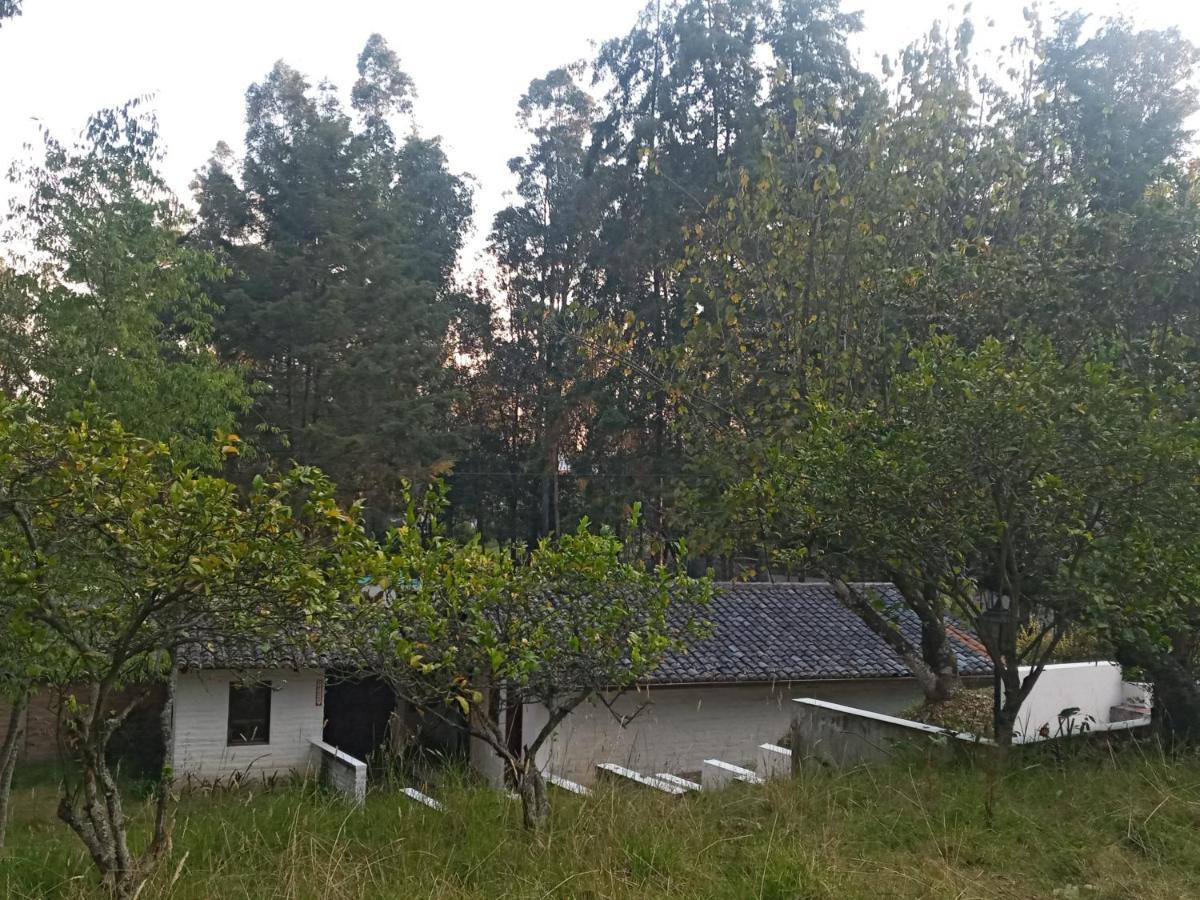 Vila Quinta Los Eucaliptos Quito Exteriér fotografie